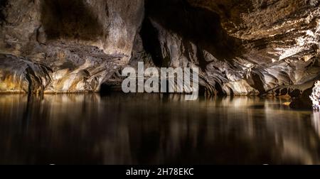 Illuminato Glow Worm Sky in Dark Cave, Waipu Caves, Isola del Nord, Nuova Zelanda Foto Stock