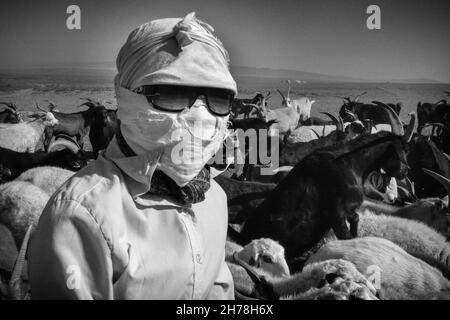 Pastori, deserto dei Gobi e Mongolia Foto Stock