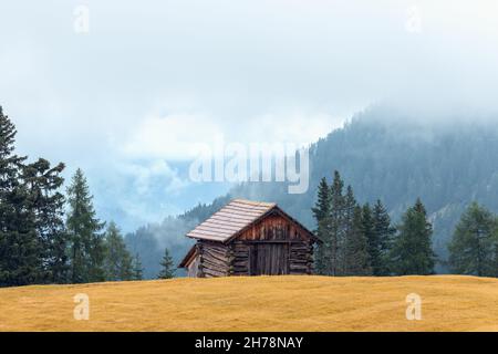 Prato autunnale di fronte ad un fienile nelle Alpi italiane coperto di fitta nebbia Foto Stock