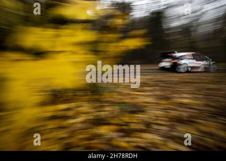 69 Rovanpera Kalle (fin), Halttunen Jonne (fin), Toyota Gazoo Racing WRT, Toyota Yaris WRC, in azione durante l'ACI Rally Monza, 12° round del FIA WRC 2021, FIA World Rally Championship, dal 18 al 21 novembre 2021 a Monza, Italia - Foto: Nikos Katikis/DPPI/LiveMedia Foto Stock