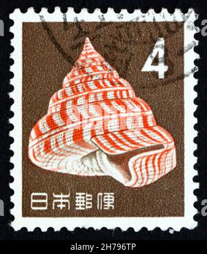 GIAPPONE - CIRCA 1963: Un francobollo stampato in Giappone mostra la conchiglia dell'imperatore, Perotrochus Hirasei, Sea Snail, Animal, circa 1963 Foto Stock