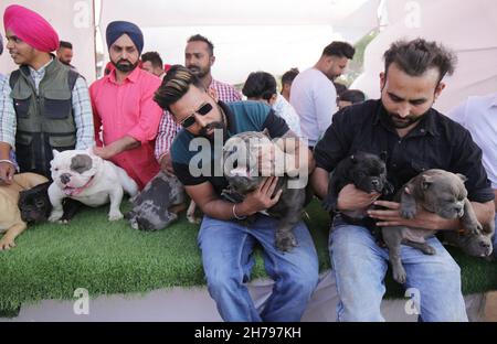 Amritsar. 21 Nov 2021. I cani e i loro proprietari sono visti durante una mostra di cani in Amritsar, stato settentrionale dell'India, Punjab, 21 novembre 2021. Credit: Str/Xinhua/Alamy Live News Foto Stock