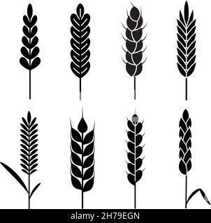 Icone delle orecchie di grano. Agricoltura biologica raccolta di cereali. Silhouette nere di segale, simbolo del pane o della birra, logo da forno, prodotti ecologici naturali Illustrazione Vettoriale