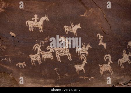 Petroglyfi di capra al Wolfe Ranch nel Parco Nazionale di Arches Foto Stock