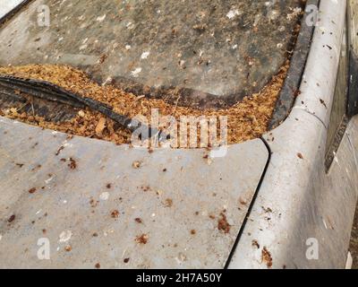 Abbandonata Opel Zafira con escrementi di uccelli. Malaga, Spagna. Foto Stock