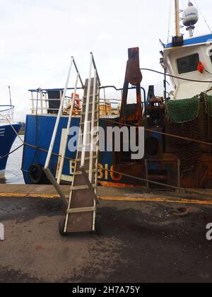 BA810 KINGFISHER - NAVI GANGPLANK - Ballantrae (una comunità a Carrick, South Ayrshire, Scozia) barche da pesca che scaricano le loro catture a Kirkcudbright, Dumfries e Galloway, Scozia. Foto Stock