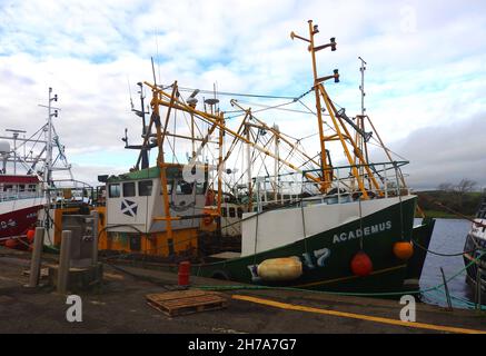 BA817 ACADEMUS - Ballantrae (una comunità a Carrick, South Ayrshire, Scozia) barche da pesca che scaricano le loro catture a Kirkcudbright, Dumfries e Galloway, Scozia. Foto Stock