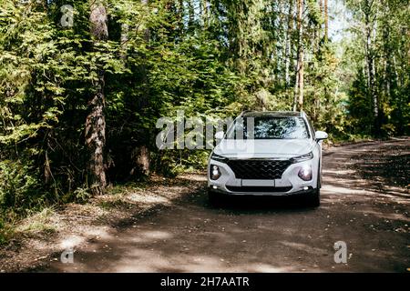 Velocità. Auto che guida su strada forestale. suv bianco Foto Stock