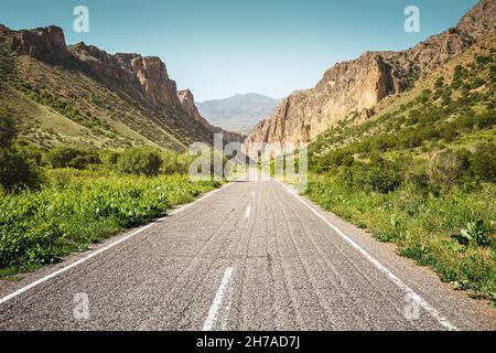 Vista di una strada in una stretta e pittoresca gola di Zangezur del fiume Amaghu nel parco nazionale in Armenia vicino al monastero di Noravank Foto Stock