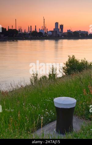 GERMANIA, RENANIA-PALATINATO, LUDWIGSHAFEN AM RHEIN, IL RENO E BASF IMPIANTI INDUSTRIALI AL CREPUSCOLO Foto Stock