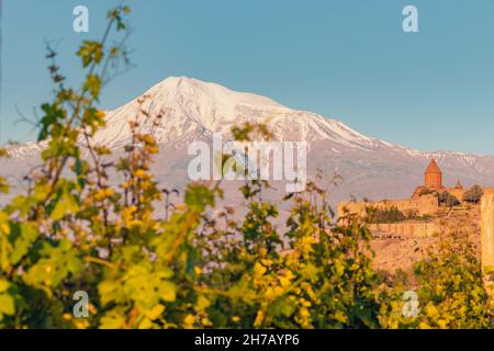 Vigneti su una fertile pianura ai piedi della montagna e del vulcano di Ararat e famoso monastero di Khor Virap sullo sfondo al tramonto Foto Stock