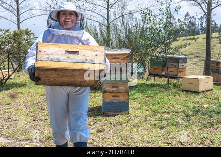 Ritratto di un apicoltore in tuta protettiva che porta una cassa di nido d'ape con miele nel campo Foto Stock