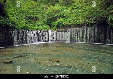 Unica cascata di Shiraito di forma circolare nella foresta vicino Karuizawa, Giappone, Foto Stock
