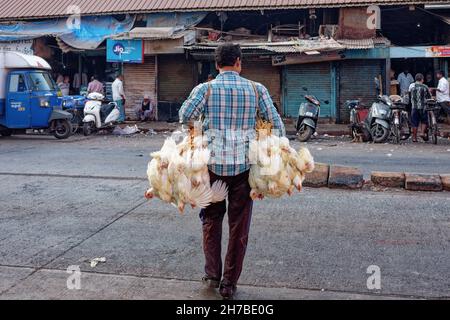 Un uomo porta due mazzi di polli vivi legati da un mercato a Mumbai, India, per la rivendita presso un macellaio Foto Stock