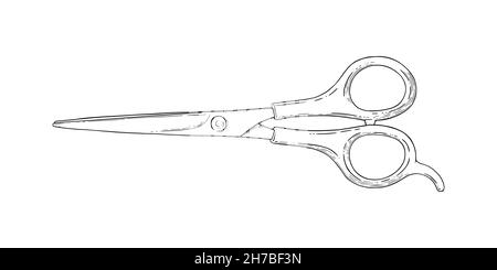 Schizzo a forbice. Cesoia per parrucchieri. Illustrazione vettoriale isolata su sfondo bianco Illustrazione Vettoriale