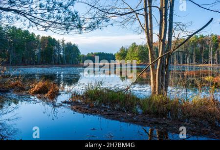 Allagamento stagionale di una strada ghiaiosa vicino a una zona umida dopo forti piogge. Winterberry Way, Puffer Pond, Assabet River National Wildlife Refuge, Massachusetts Foto Stock
