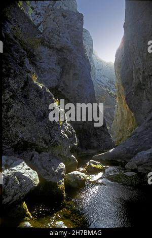 FRANCIA. PIRENEI ORIENTALI (66). LE CORBIERES. I FENOUILLEDES . GOLA DI GALAMUS IN AUTUNNO Foto Stock