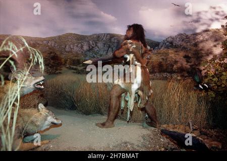 FRANCIA. PIRENEI ORIENTALI (66). I FENOUILLEDES . TAUTAVEL. MUSEO DELLA PREISTORIA Foto Stock