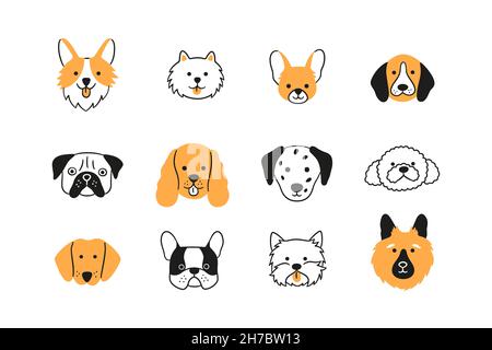 Facce di razze diverse cani set. Corgi, Beagle, Spitz Chihuahua, Terrier, Spaniel, Poodle, dalmata. Collezione di teste di cane di doodle. Disegnato a mano Illustrazione Vettoriale