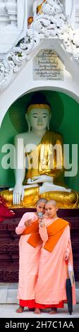 MYANMAR, YANGON, MONACI BUDDISTI DONNA NELLA TEMPL DI SHWEDAGON Foto Stock