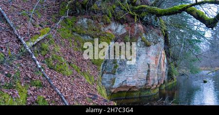 Le scogliere di 40 M Long Ziedleju sono composte da pietre di sabbia rossastra della Gauja Suite. Un affioramento di arenaria sulle rive del fiume Gauja, Incukalns, Lettonia. Foto Stock