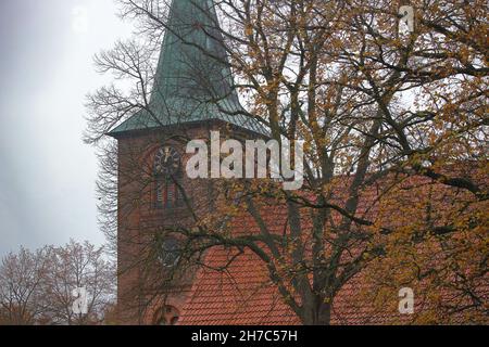 primo piano di un campanile dietro rami e ramoscelli Foto Stock