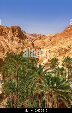 Vista dell'oasi di montagna di Shebika, nel mezzo del deserto del Sahara, Tunisia, Africa Foto Stock