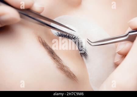 Estensione della ciglia Pocedure. Donna master pettini ciglia 2d. Foto Stock