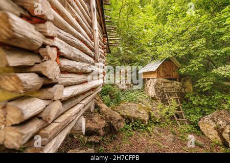 Piccole case in legno e capanne in campeggio nel bosco sul sentiero. Pernottamento in natura e all'aperto Foto Stock