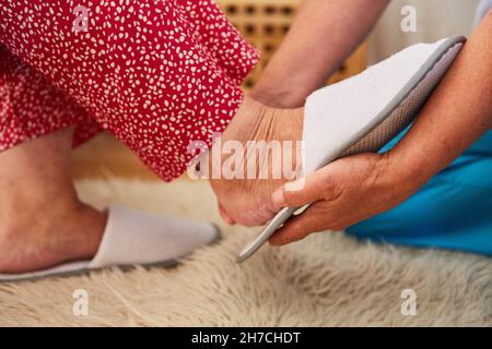 La donna del servizio di assistenza infermieristica o l'infermiera geriatrica aiuta gli anziani a indossare le pantofole a casa Foto Stock