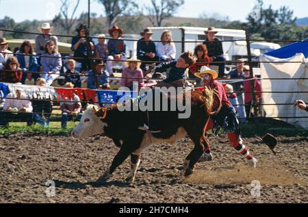 Australia. Queensland. Rodeo. Gara di guida per giovani stockmen. Foto Stock