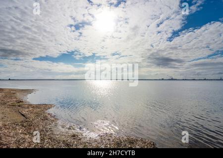 Zierow: Mar Baltico, baia Wismarbucht a Ostsee (Mar Baltico), Meclemburgo-Vorpommern, Germania Foto Stock