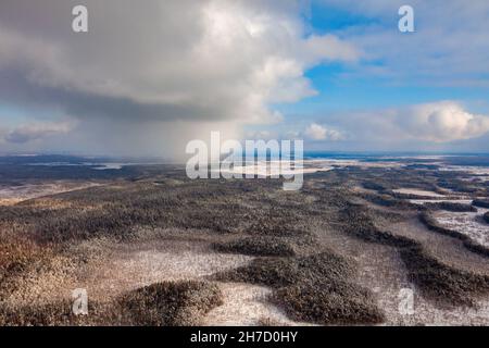 Airphoto di taiga invernale coperto da neve durante la giornata gelida. Neve che cade da nubi di cumulo bianco basso. Foto Stock