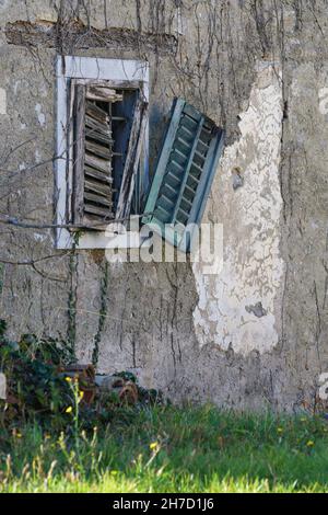 Finestra in pietra con persiane rotte in un muro con edera che sale su una facciata decadente di un vecchio edificio. Architettura, età. Foto Stock
