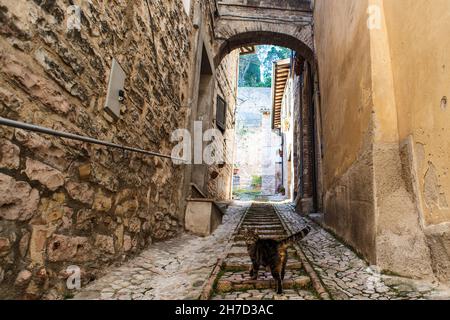 Spello, Spoleto, Umbria, Italia. 20 Nov 2021. Italia, novembre 2021. Con l'aumentare del numero di contagio in Italia, arriva lo spettro delle cancellazioni natalizie da parte delle agenzie. Molti italiani e turisti preferiscono destinazioni vicine o piccoli villaggi ricercati, per evitare il più possibile di affollarsi o radunarsi nelle grandi città. L'Umbria con borghi medievali molto piccoli e ricercati, come Spello o Spoleto, è una delle destinazioni più cliccate sul web per il turismo a breve termine. Il borgo medievale di Spello, eletto uno dei borghi più belli d'Italia. (Cod Foto Stock