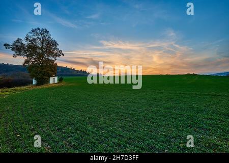 Paesaggio rurale con un solo albero e una piccola casa al tramonto. In primo piano. Sera colorato cielo arancione. Haluzice, Slovacchia. Foto Stock