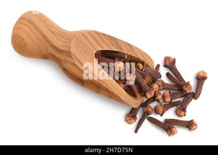 Chiodi di garofano secchi in paletta di legno isolato su sfondo bianco con percorso di taglio. Vista dall'alto. Disposizione piatta Foto Stock