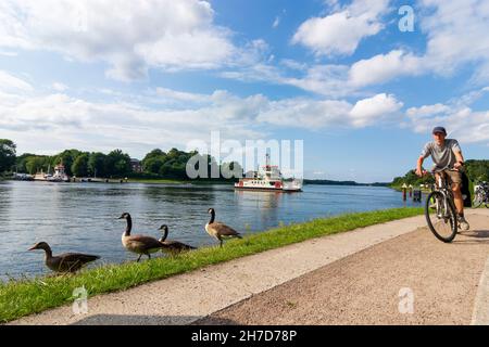 Rendsburg: Traghetto a Nobiskrug su Nord-Ostsee-Kanal (canale Kiel), oche del Canada (Branta canadensis), ciclista sulla strada ciclabile Nord-Ostsee-Kanal a Binnenl Foto Stock