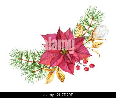 Composizione natalizia con fiore di poinsettia, rami di pino e rosa dorata. Acquerello bouquet dipinto a mano per le vacanze invernali, biglietti d'auguri Foto Stock