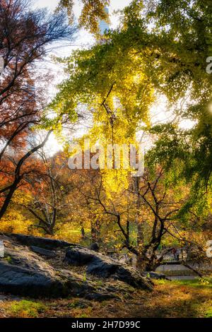 Central Park a New York City mostra il bellissimo fogliame autunnale, USA Foto Stock