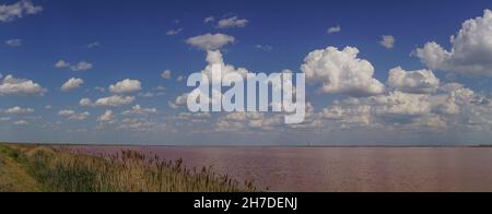 Panorama del lago rosa Sasyk-Sivash in Crimea Foto Stock