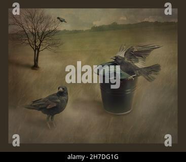 tre corvi in campagna, uno seduto su un secchio d'acqua, uno seduto in un albero senza foglie uno si è fermato a terra. foto composito. Foto Stock
