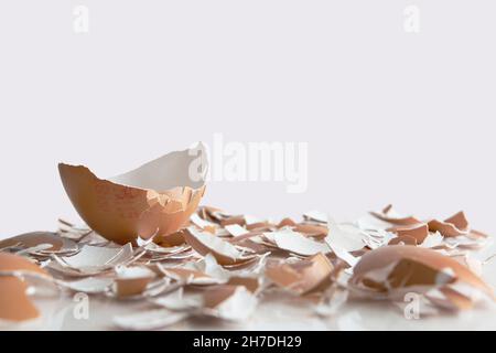 parte di un guscio di uovo su un letto di gusci di uovo rotti con fondo bianco Foto Stock