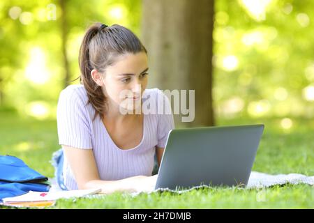 E-learning studentesco che controlla il laptop in un parco verde Foto Stock