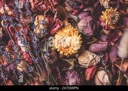 Diversi rosa secco, viola, fiori gialli petali e fiori sparsi. Sfondo floreale artistico vintage. Stile immagine opaca. Foto Stock