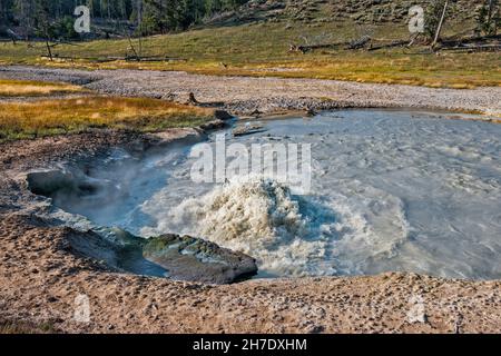 Acqua calda che ruggisce a Churning Caldron, sorgenti termali nella zona termale di Mud Volcano del Parco Nazionale di Yellowstone, Wyoming, USA Foto Stock