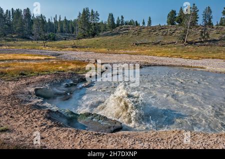 Acqua calda che ruggisce a Churning Caldron, sorgenti termali nella zona termale di Mud Volcano del Parco Nazionale di Yellowstone, Wyoming, USA Foto Stock