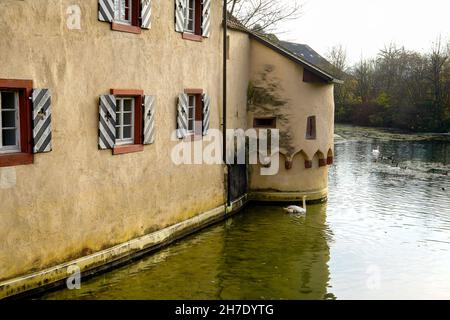 Castello di Beuggen (Schloss Beuggen) nel Baden-Württemberg; Germania. Foto Stock