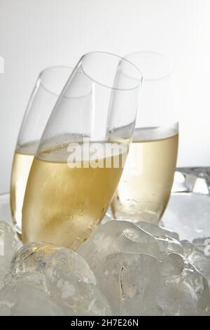 Bicchieri di Prosecco circondati da cubetti di ghiaccio Foto Stock