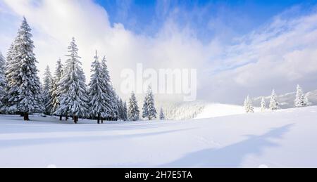Una vista panoramica invernale. Paesaggio di alta montagna con picchi bianchi di neve e foresta. Vista aerea. Sfondo. Paesaggio naturale. Posizione pla Foto Stock